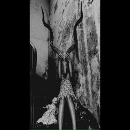 Cover for Time Travel