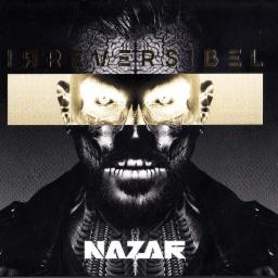 Cover for Irreversibel