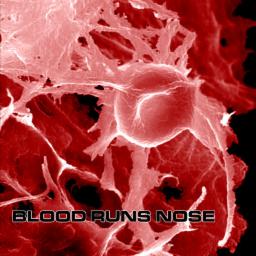Cover for Blood Makes Noise