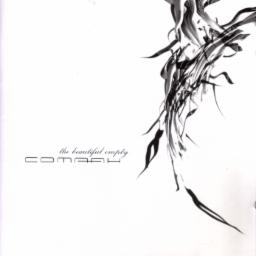 Cover for The Beautiful Empty