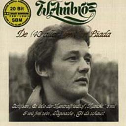 Cover for De (40 aller) bestn Liada