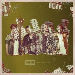 Cover for