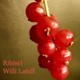 Cover for Ribisel