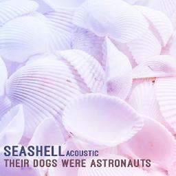 Cover for Seashell (Acoustic Version)