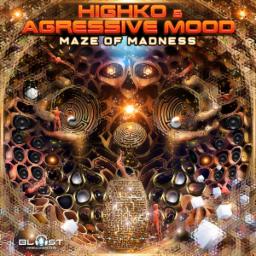 Cover for Maze Of Madness