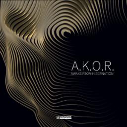 Cover for Awake From Hibernation