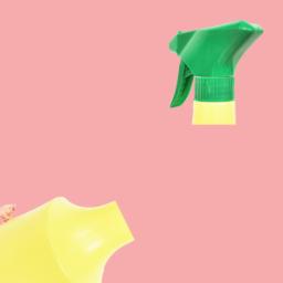 Cover for Snacks on a plate