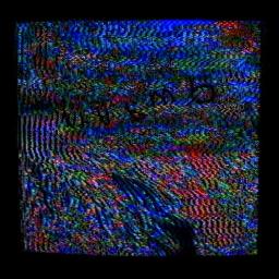 Cover for Womb