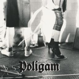 Cover for Poligam LP
