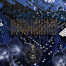 Cover for Digital Perception
