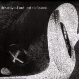 Cover for Destroyed but Not Defeated