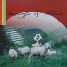 Cover for Innsbruck Land 5