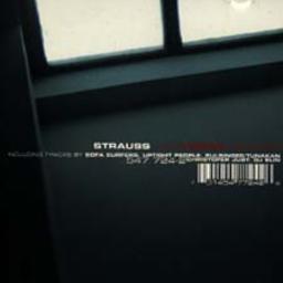 Cover for Strauß The Vienna Remixes