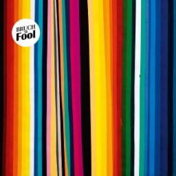 Cover for The Fool