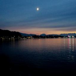 Cover for It went on