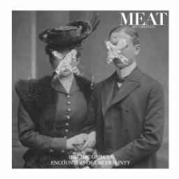 Cover for Encounters Of Uncertainty