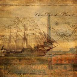 Cover for irony... is my second name