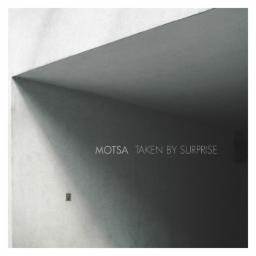 Cover for Taken By Surprise