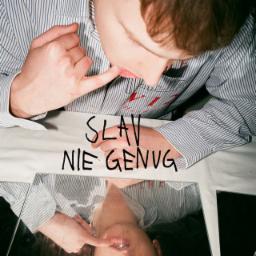 Cover for NIE GENUG