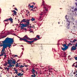 Cover for B:a:c:h Like Waters