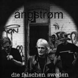 Cover for Die falschen Sweden