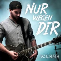 Cover for Nur wegen dir