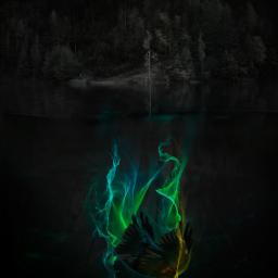 Cover for Water Falls Like Tears From The Sky