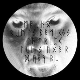 Cover for Bumps Remixes EP