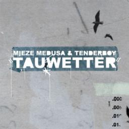 Cover for Tauwetter