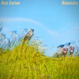 Cover for Mountain EP