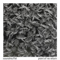Cover for Point of no Return