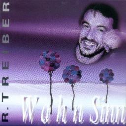 Cover for Wahn Sinn
