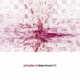 Cover for Principles of Deep House 6.0