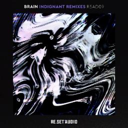 Cover for Indignant Remixes