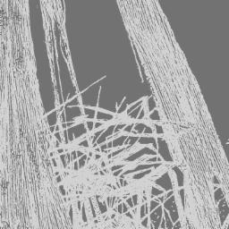 Cover for Supernova Volume III