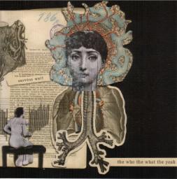 Cover for