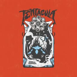 Cover for Estrella Destruida