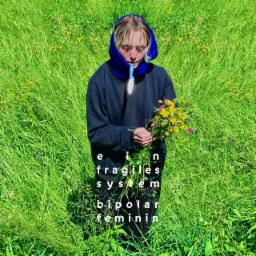Cover for Ein fragiles System