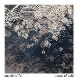 Cover for Traces of Acid