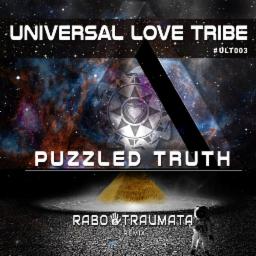 Cover for Puzzled Truth