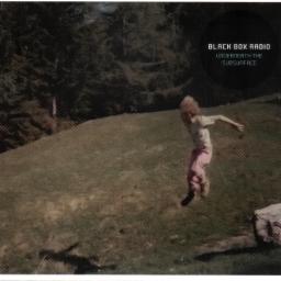 Cover for Underneath The Subsurface