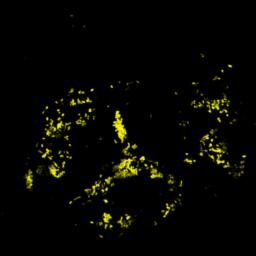 Cover for clicks 3 ep