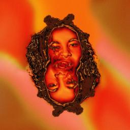 Cover for WWW She Hot