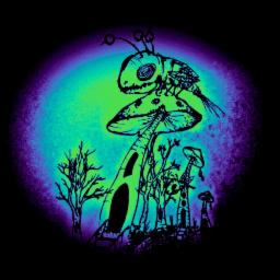 Cover for Imagination