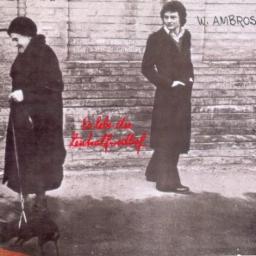 Cover for Es lebe der Zentralfriedhof