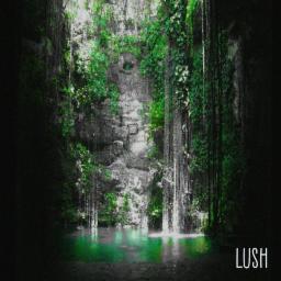 Cover for Lush