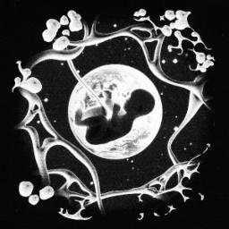 Cover for I Skog og Mark