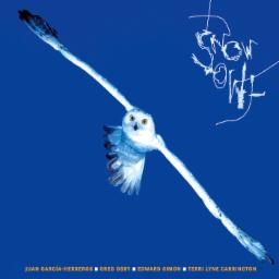 Cover for Snow Owl
