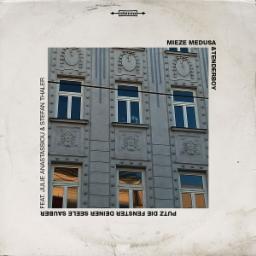 Cover for Putz die Fenster deiner Seele sauber