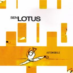 Cover for Automobile